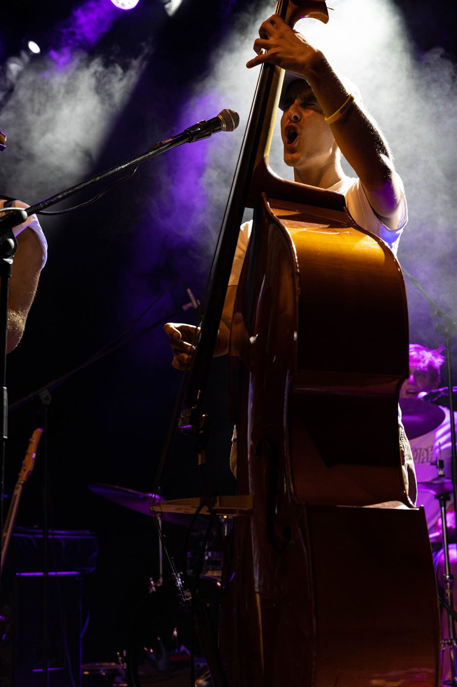 Concert portfolio photo V_K_4981