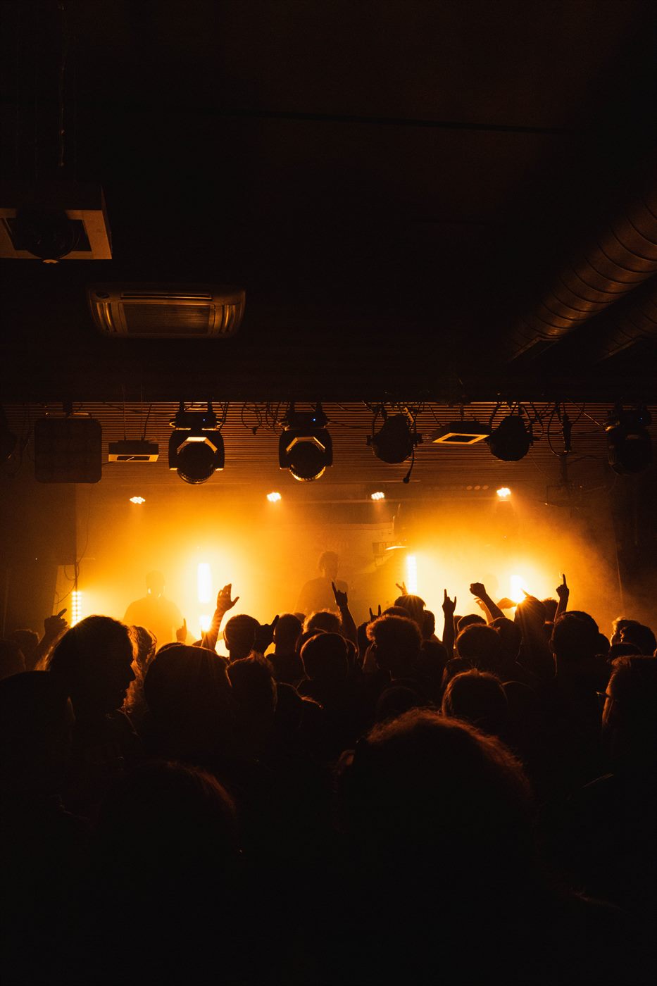 Concert portfolio photo V_K_9794